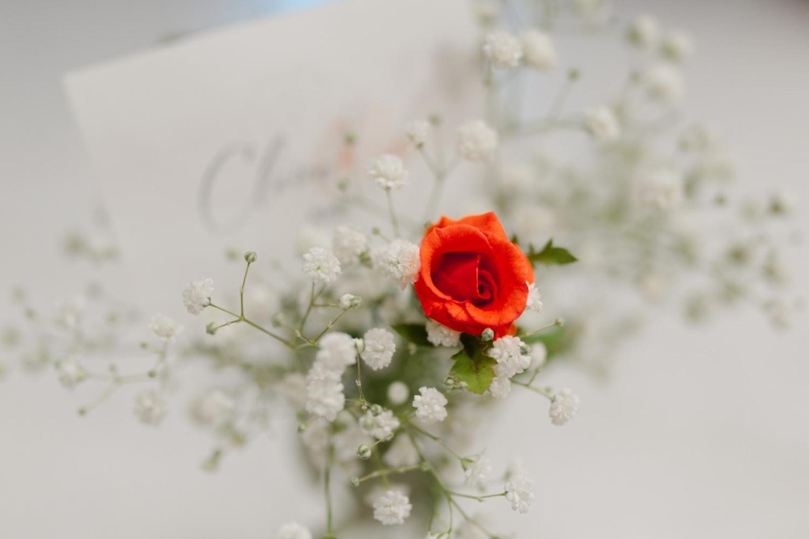 Claire Rose B&B マテーラ エクステリア 写真