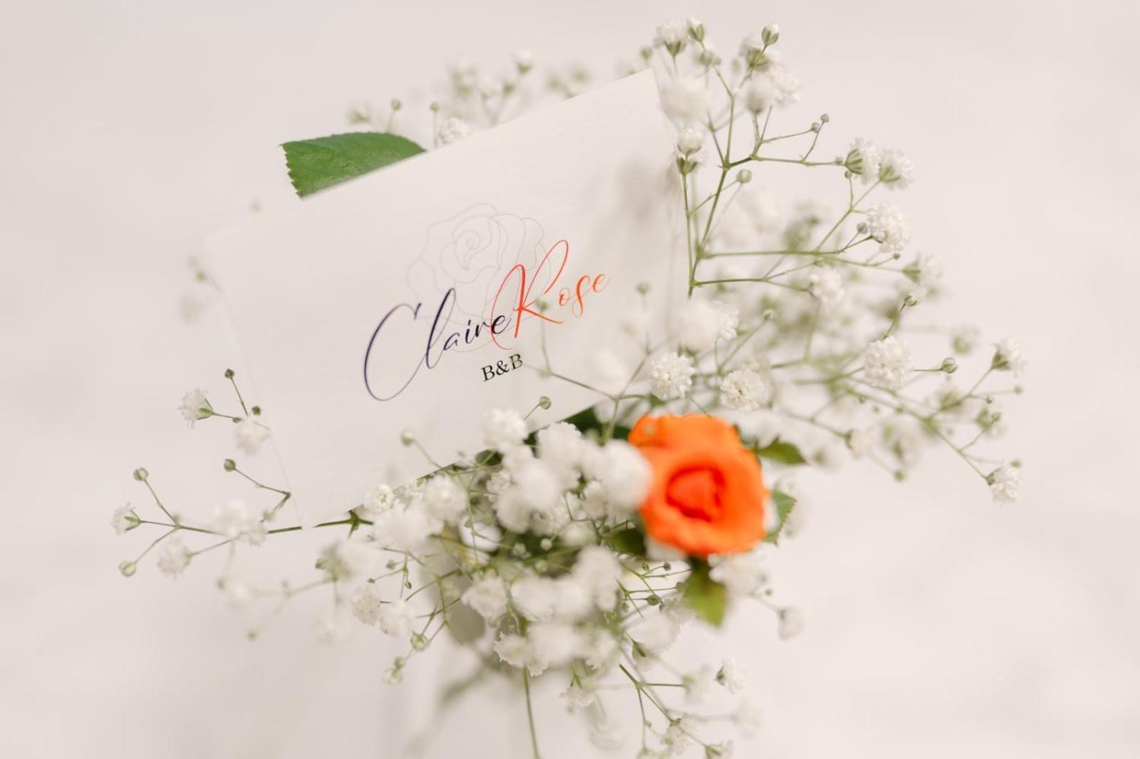 Claire Rose B&B マテーラ エクステリア 写真